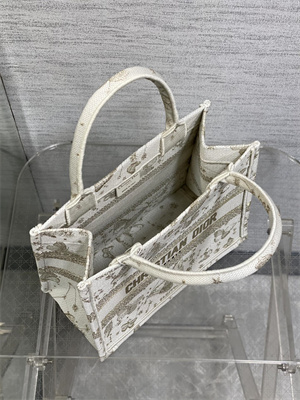 CD Small Book Tote Butterfly Zodiac Embroidery Gold Tone and White