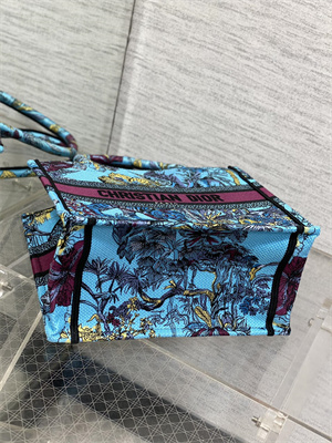 CD Small Book Tote Voyage Toile de Jouy Embroidery Blue Multicolor