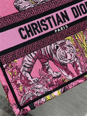 CD Small Book Tote Voyage Toile de Jouy Embroidery Pink Multicolor