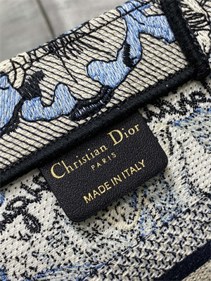 CD Small Book Tote Jardin Magique Embroidery Grey Blue