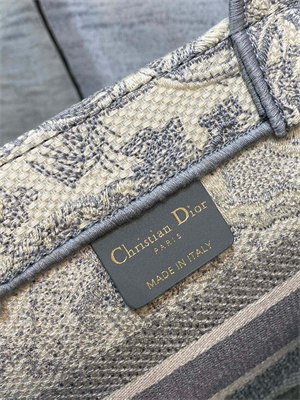 CD Small Book Tote Toile de Jouy Embroidery Ecru and Grey