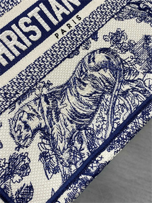 CD Small Book Tote Toile de Jouy Embroidery Ecru and Blue