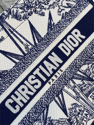 CD Small Book Tote R??ve d’Infini Embroidery White and Blue