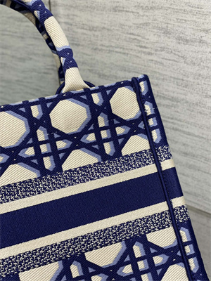 CD Small Book Tote Beige and Blue Macrocannage Embroidery