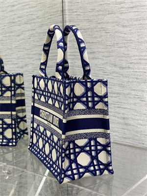 CD Small Book Tote Beige and Blue Macrocannage Embroidery