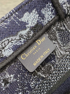 CD Small Book Tote Toile de Jouy Embroidery Denim Blue