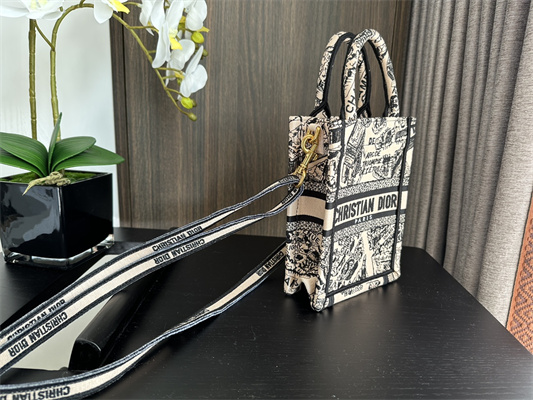 CD Mini Vertical Di.or Book Tote With Strap Plan de Paris Embroidery Beige and Black