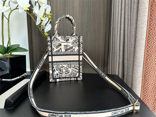 CD Mini Vertical Di.or Book Tote With Strap Plan de Paris Embroidery Beige and Black