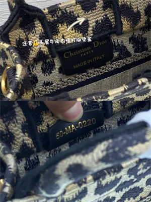 CD Mini Vertical Di.or Book Tote With Strap Beige Multicolor Mizza Embroidery