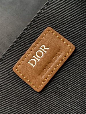 Large Di.or Hit The Road Backpack Brown CD Diamond Canvas