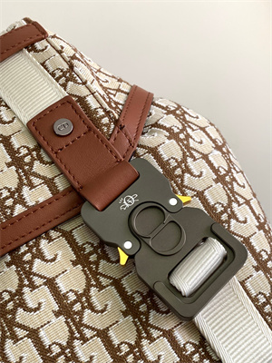 Large Di.or X Cactus Jack Hit The Road Backpack Brown Oblique Jacquard