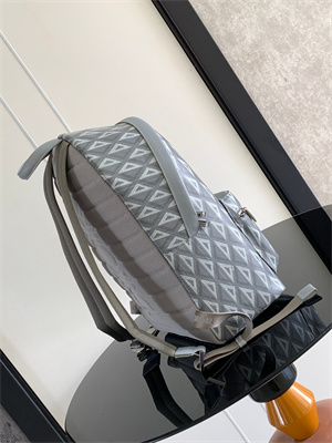 Di.or Rider Backpack Grey CD Diamond Canvas and Smooth Calfskin