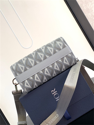 Di.or Lingot 22 Shoulder Bag Grey CD Diamond Canvas