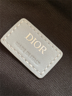 Di.or Lingot 22 Shoulder Bag Grey CD Diamond Canvas