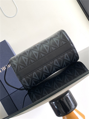 Di.or Lingot Toiletry Bag Black CD Diamond Canvas