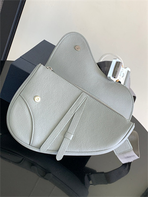 Di.or Saddle Bag Grey Grained Calfskin With Di.or Printing
