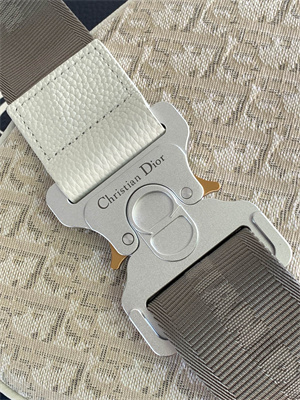 Di.or Saddle Bag Beige Oblique Jacquard