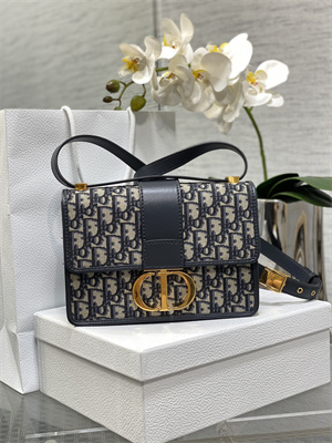 CD 30 Montaigne Bag Blue Oblique Jacquard