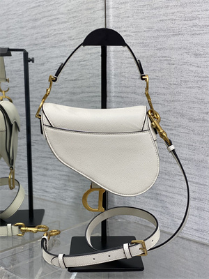 CD Mini Saddle Bag Grained Calfskin Latte Color