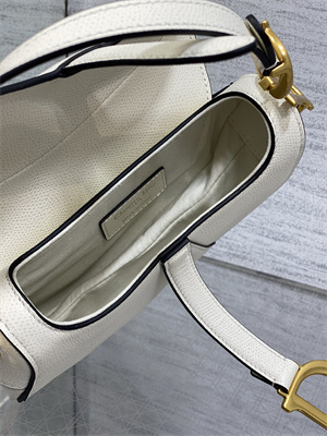 CD Mini Saddle Bag Grained Calfskin Latte Color