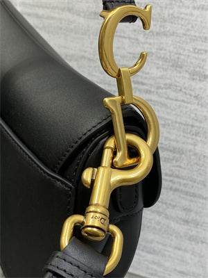 CD Mini Saddle Bag Smooth Calfskin Black Color