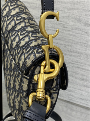 CD Mini Saddle Bag Oblique Jacquard Blue Color