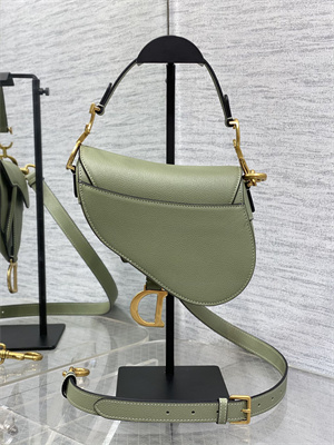 CD Mini Saddle Bag Grained Calfskin Lt Green Color