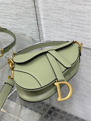 CD Mini Saddle Bag Grained Calfskin Lt Green Color