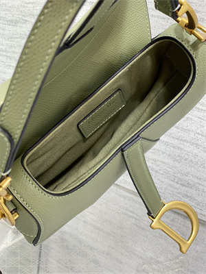CD Mini Saddle Bag Grained Calfskin Lt Green Color