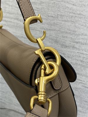 CD Mini Saddle Bag Grained Calfskin Warm Taupe Color