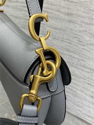 CD Mini Saddle Bag Grained Calfskin Dusty Blue Color