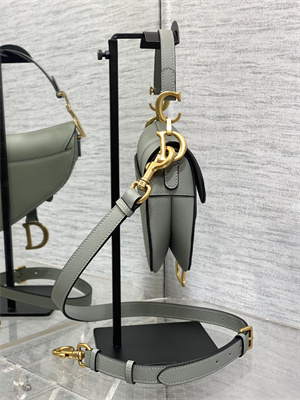 CD Mini Saddle Bag Grained Calfskin Stone Grey Color