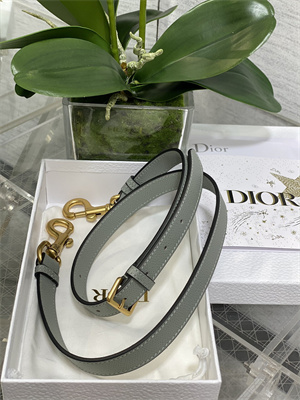 CD Mini Saddle Bag Grained Calfskin Stone Grey Color