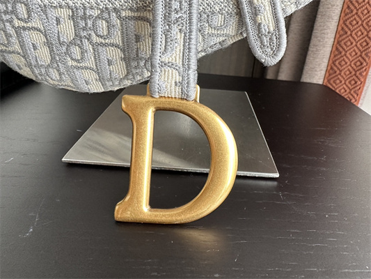 CD Saddle Bag Oblique Embroidery Gray Color