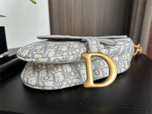 CD Saddle Bag Oblique Embroidery Gray Color