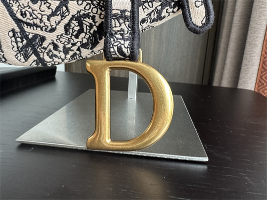 CD Saddle Bag Paris Map Embroidery Beige Color