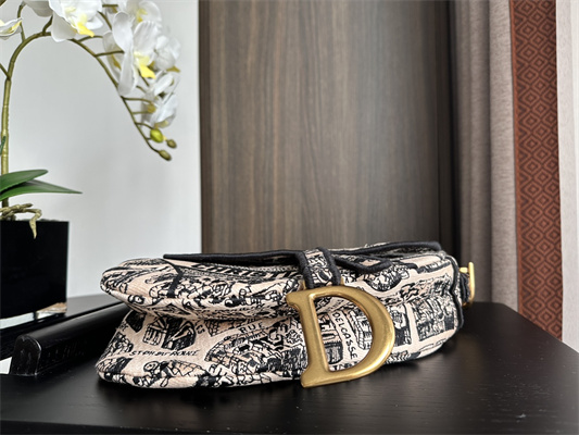 CD Saddle Bag Paris Map Embroidery Beige Color