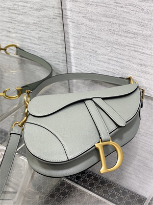 CD Saddle Bag Grained Calfskin Stone Grey Color