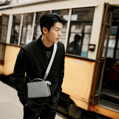 Fen.di Peekaboo ISeeU XCross Leather Bag Grey Color