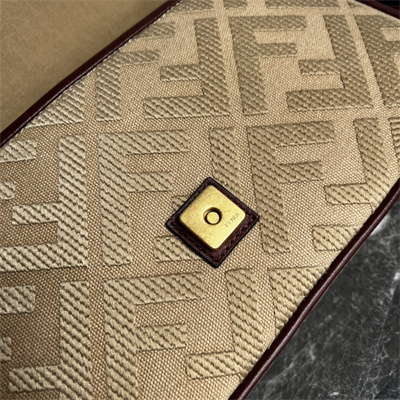 Fen.di BAGUETTE Brown FF Canvas Bag