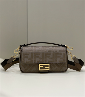 Fen.di BAGUETTE Dove Grey FF Canvas Bag