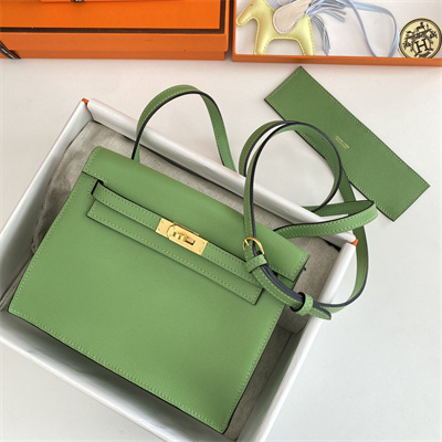 Kelly Danse Bag Evercolor Leather Gold Tone Metal In Vert Criquet Color HS