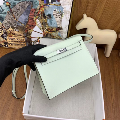 Kelly Danse Bag Evercolor Leather Silver Tone Metal In Vert Fizz Color HS