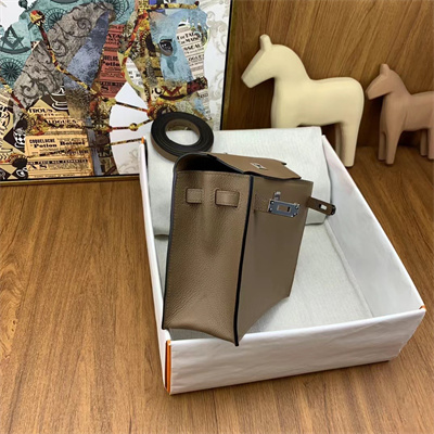 Kelly Danse Bag Evercolor Leather Silver Tone Metal In Beige de Weimer Color HS