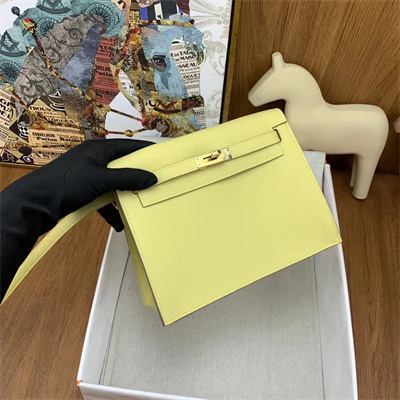 Kelly Danse Bag Evercolor Leather Gold Tone Metal In Jaune Poussin Color HS