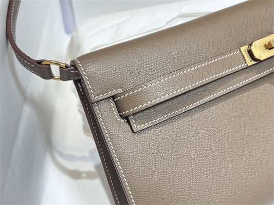 Kelly Elan Bag Madame Leather Gold Tone Metal In Trench Color HS