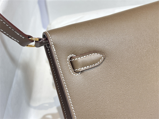 Kelly Elan Bag Madame Leather Gold Tone Metal In Trench Color HS