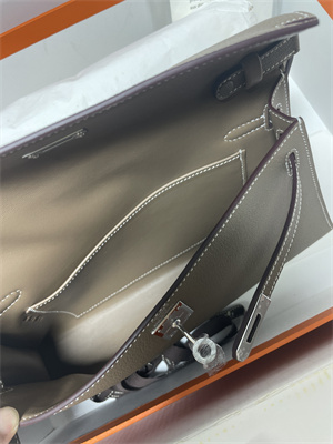 Kelly Elan Bag Goatskin Leather Silver Tone Metal In Etoupe Color HS