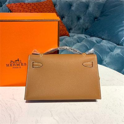 Kelly Pochette Bag Epsom Leather Gold/Silver hardware In Cameral Color HS