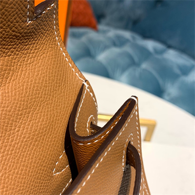 Kelly Pochette Bag Epsom Leather Gold/Silver hardware In Cameral Color HS